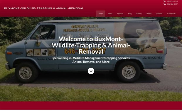 BuxMont-Wildlife-Trapping & Animal-Removal
