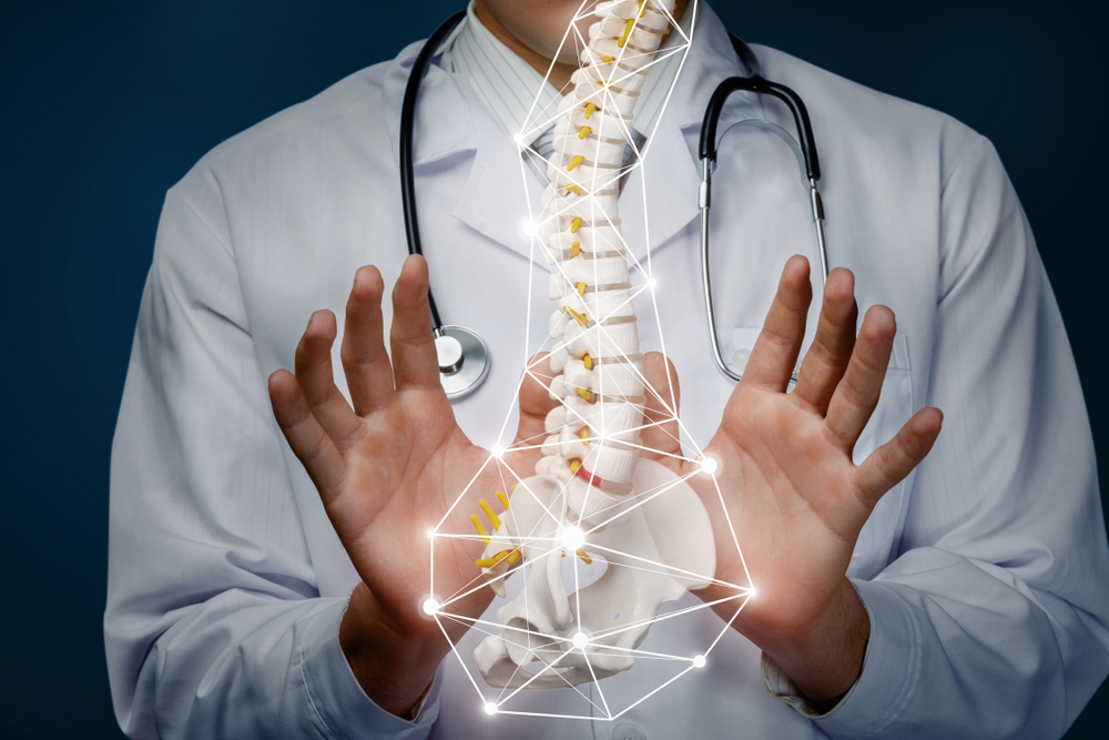 Chiropractor presenting a digital illustration of a healthy spine, symbolizing chiropractic care advancements